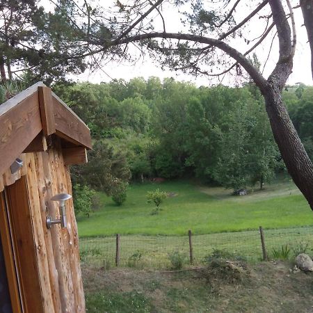 La Cabane En Bois Villemur-sur-Tarn 외부 사진