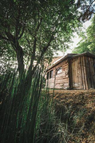La Cabane En Bois Villemur-sur-Tarn 외부 사진